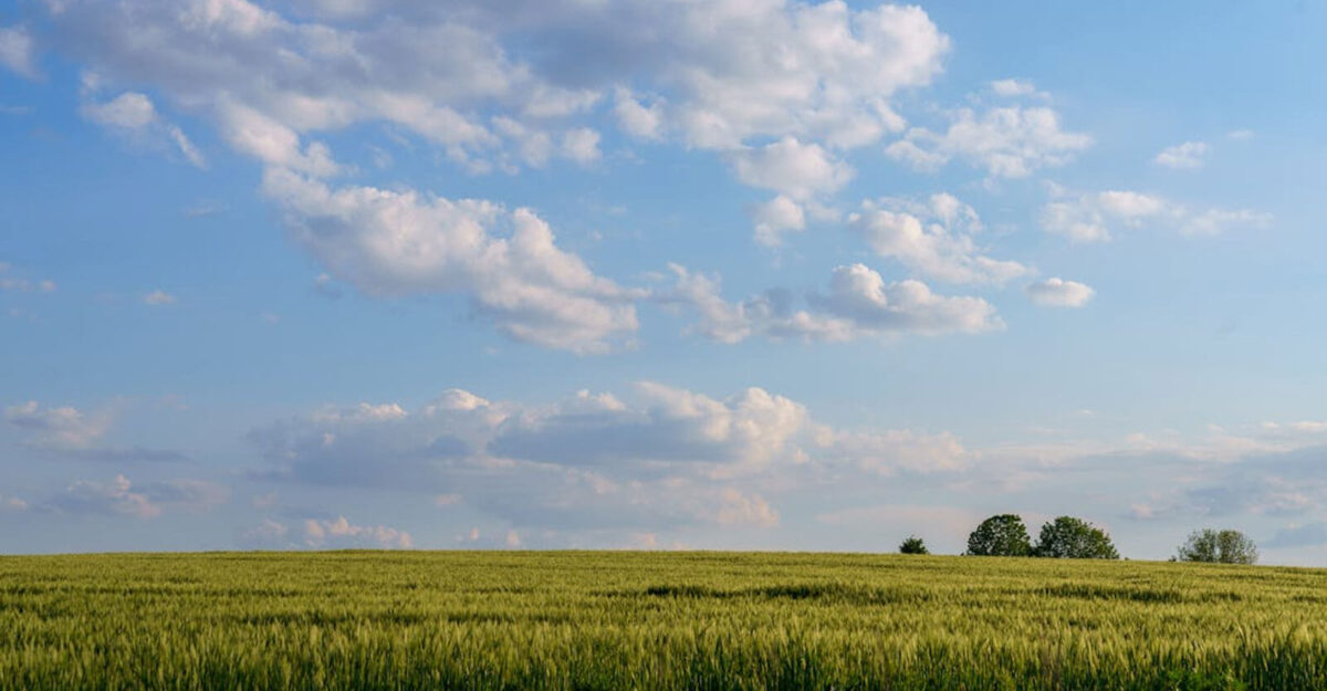 Malaysia Digital Transformation-cover