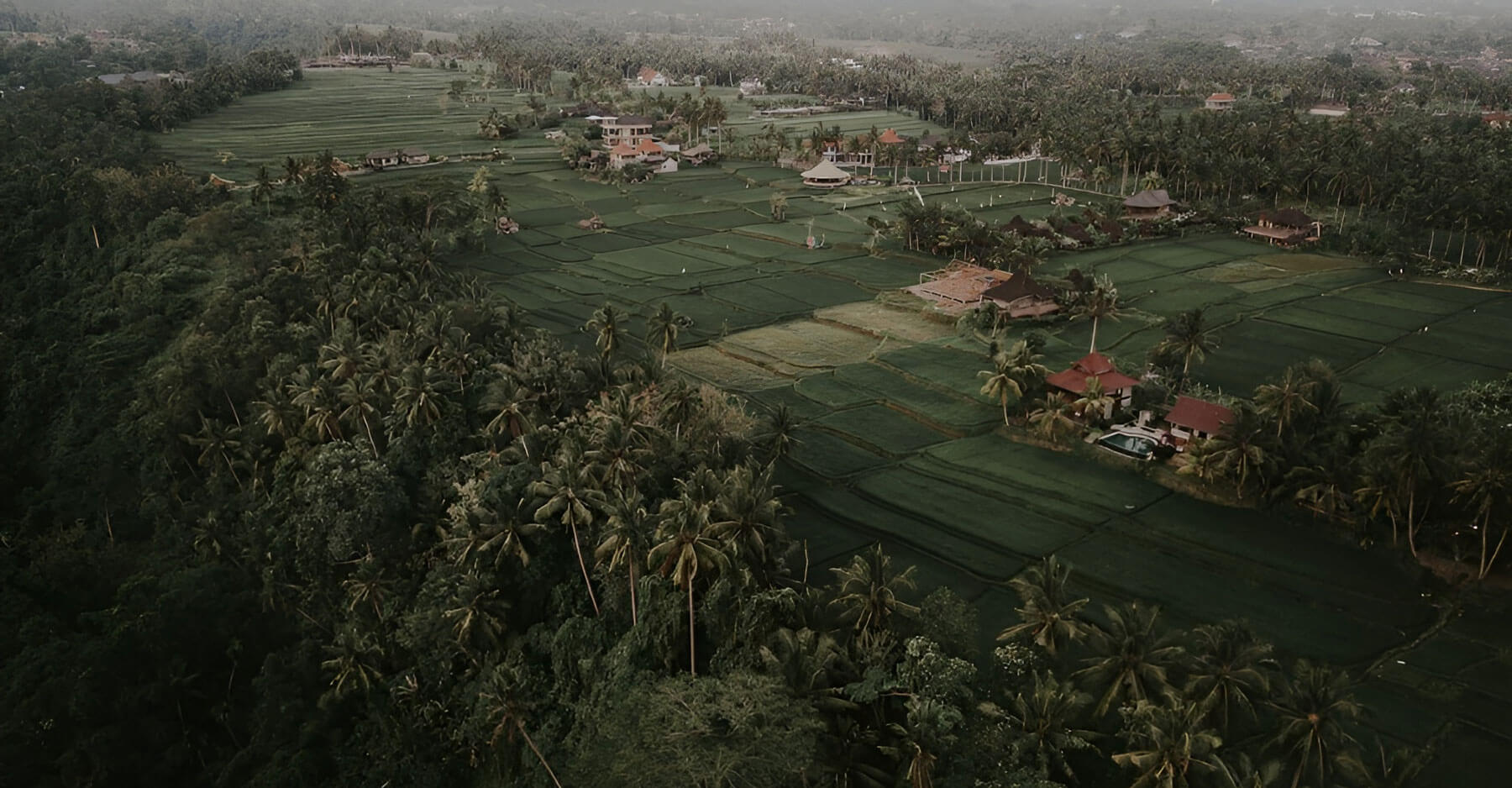 Employer of Record-cover