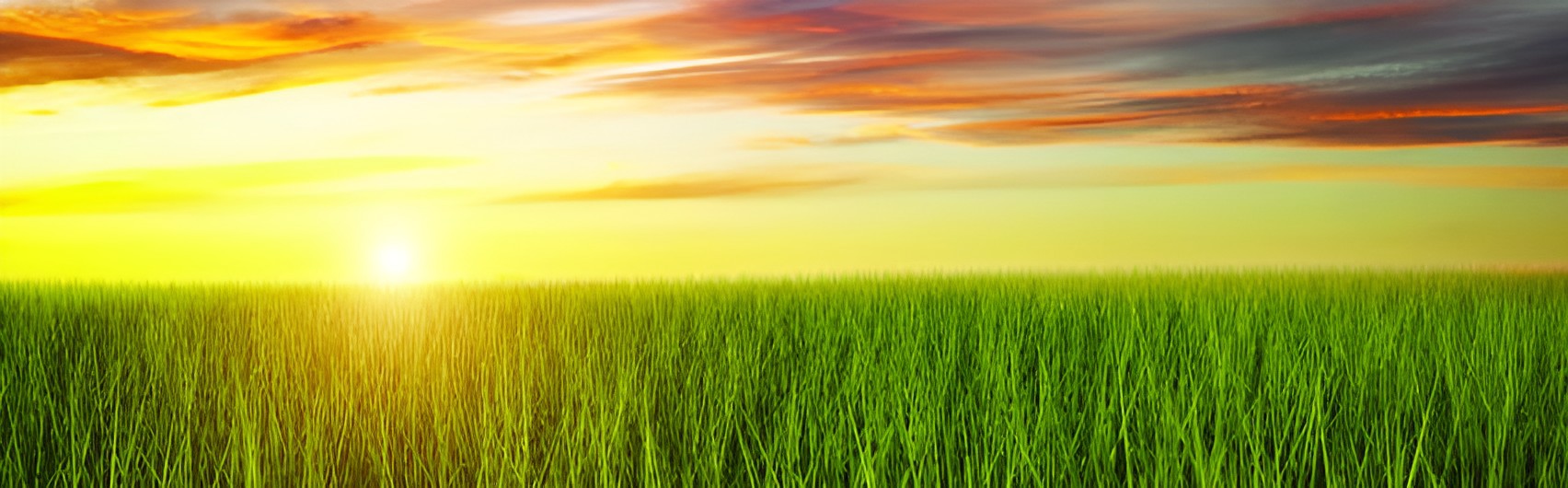 Optimizing Business and Investments with an Investment Holding Company